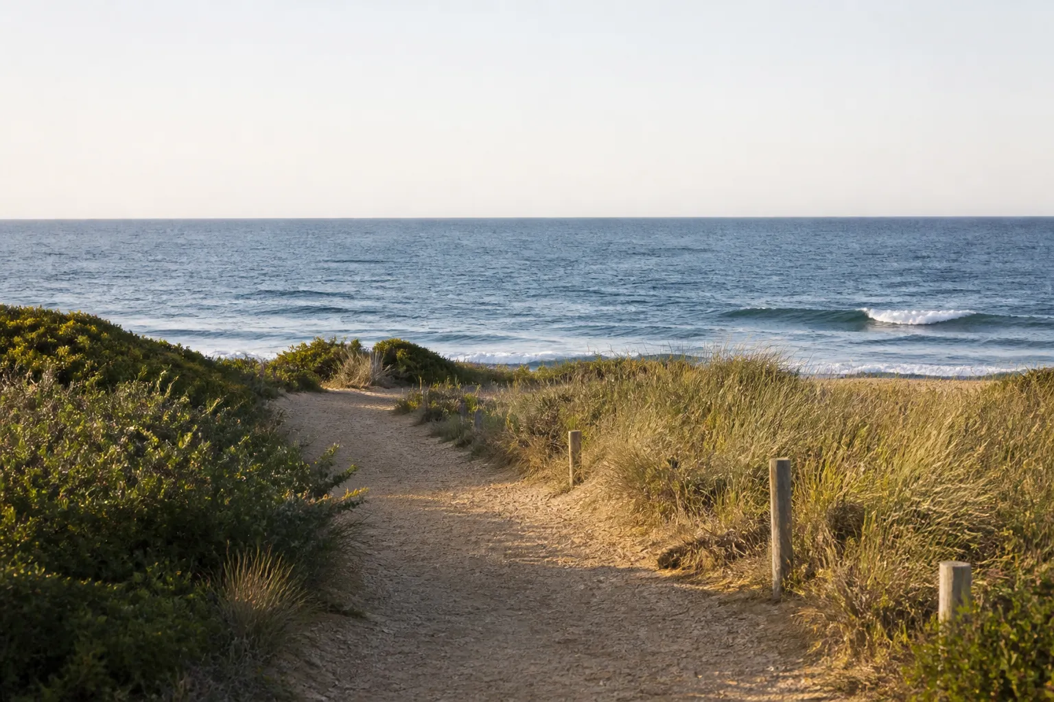 A winding coastal path opens toward the ocean horizon.